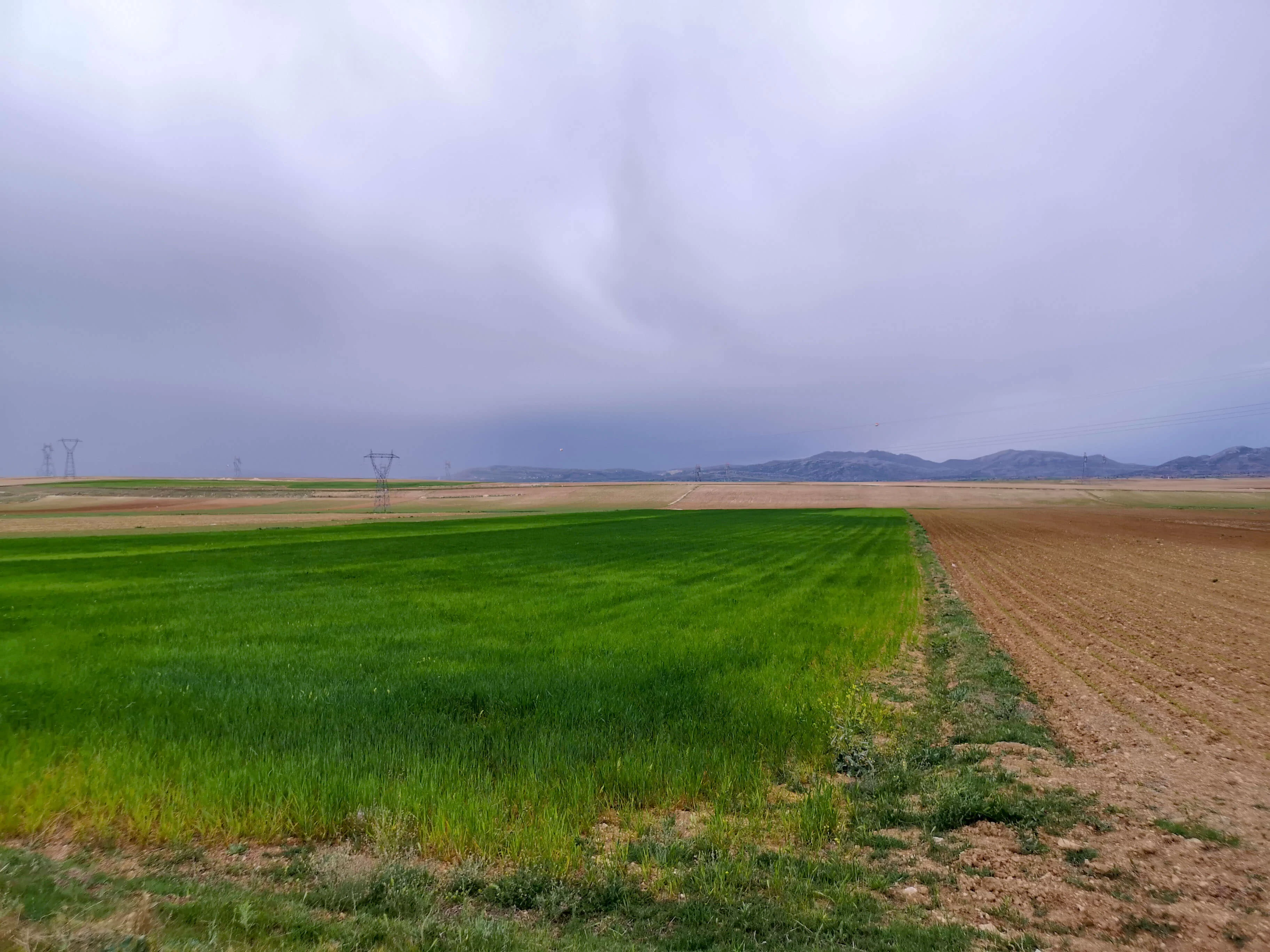GÖNDERE' de 9 DÖNÜM SATILIK TARLA