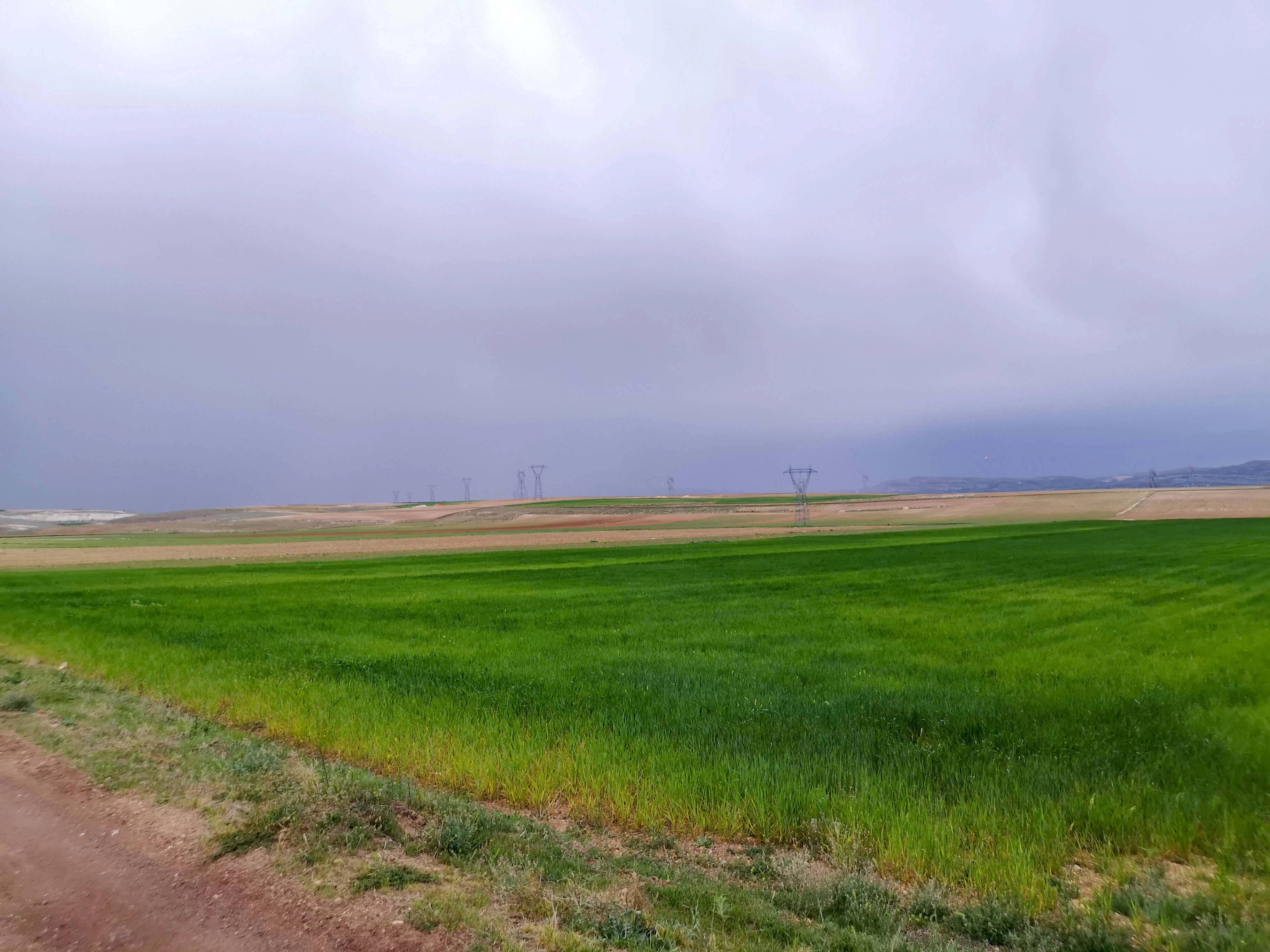 GÖNDERE' de 9 DÖNÜM SATILIK TARLA