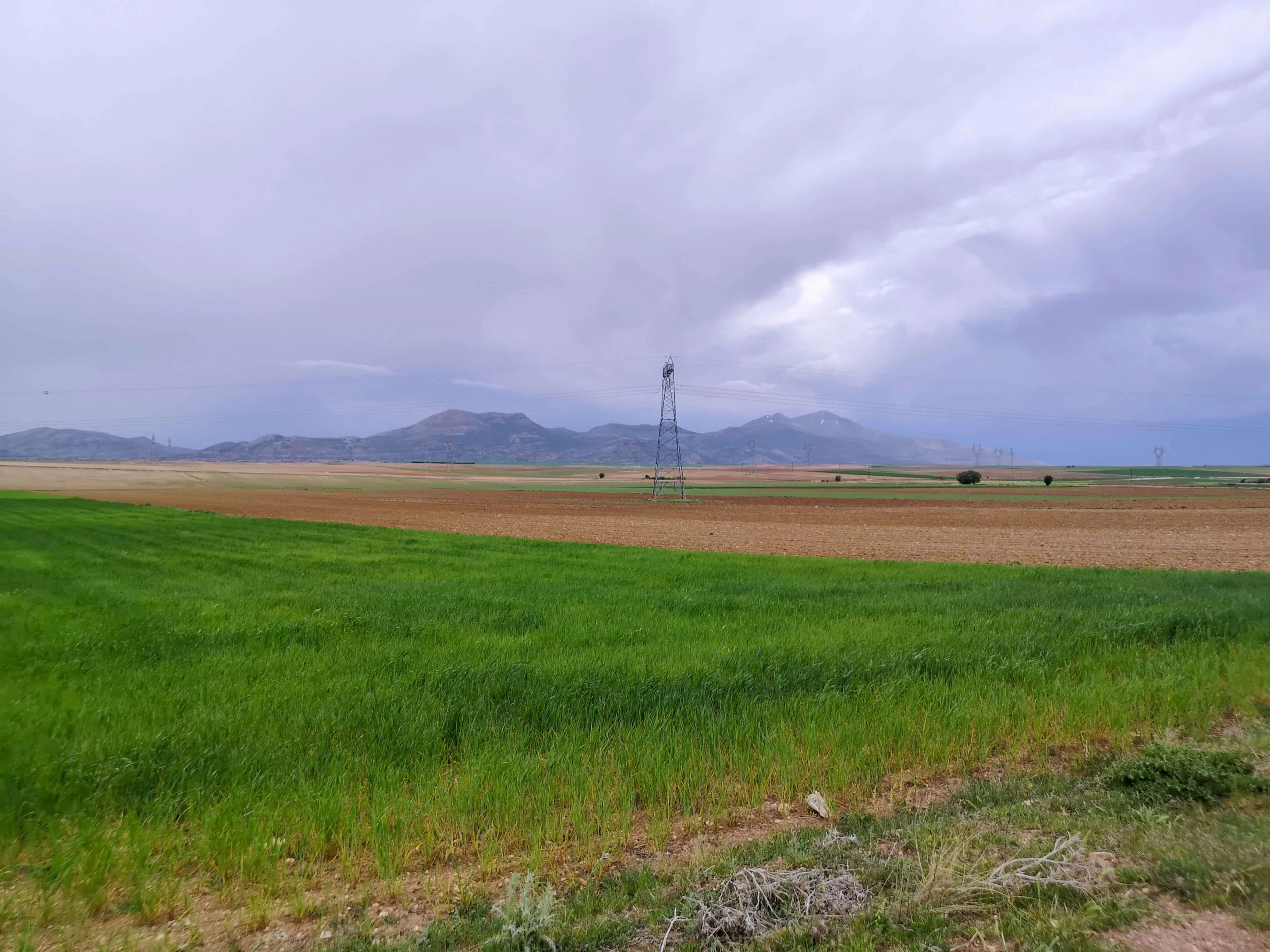 GÖNDERE' de 9 DÖNÜM SATILIK TARLA