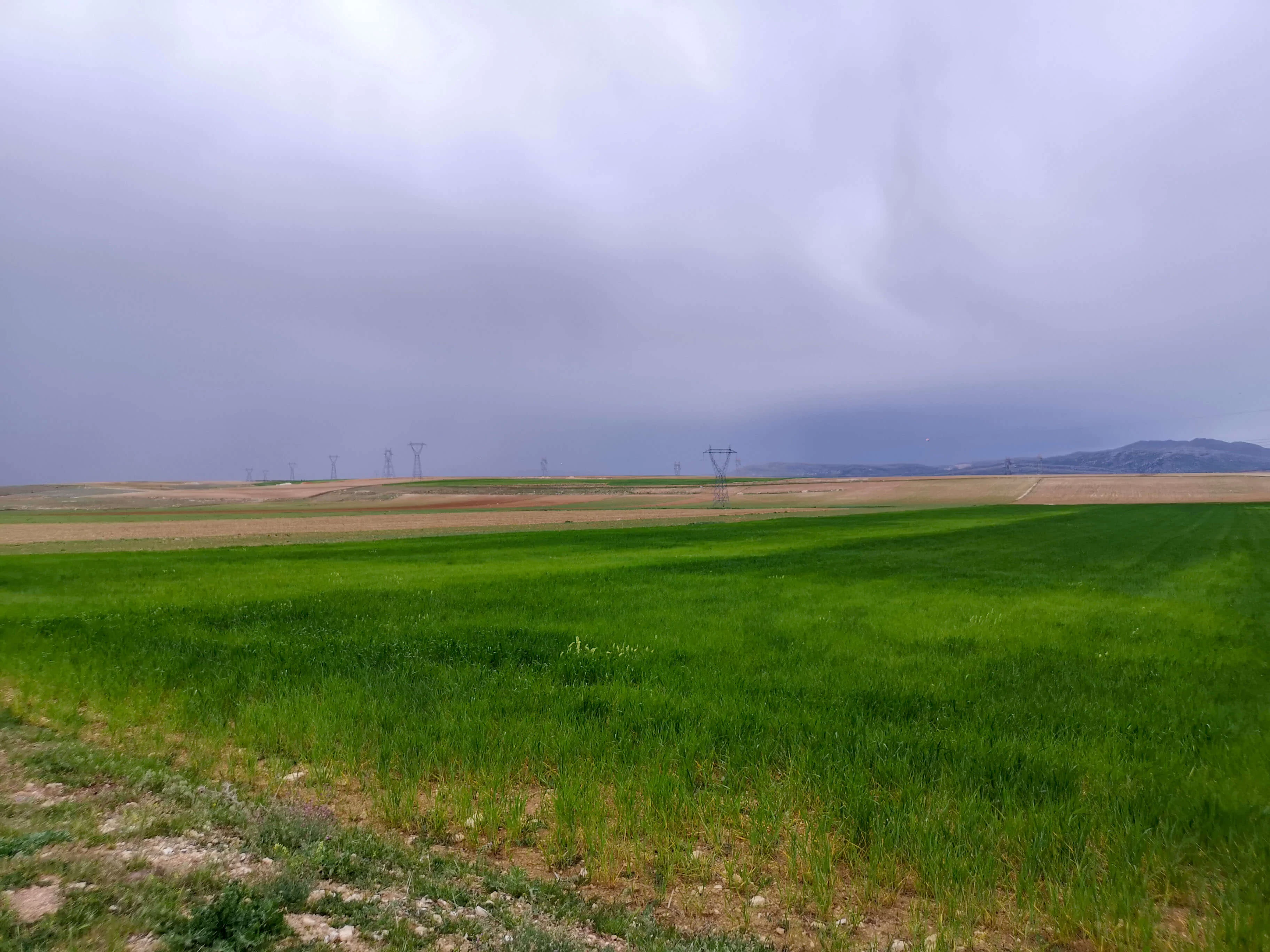 GÖNDERE' de 9 DÖNÜM SATILIK TARLA