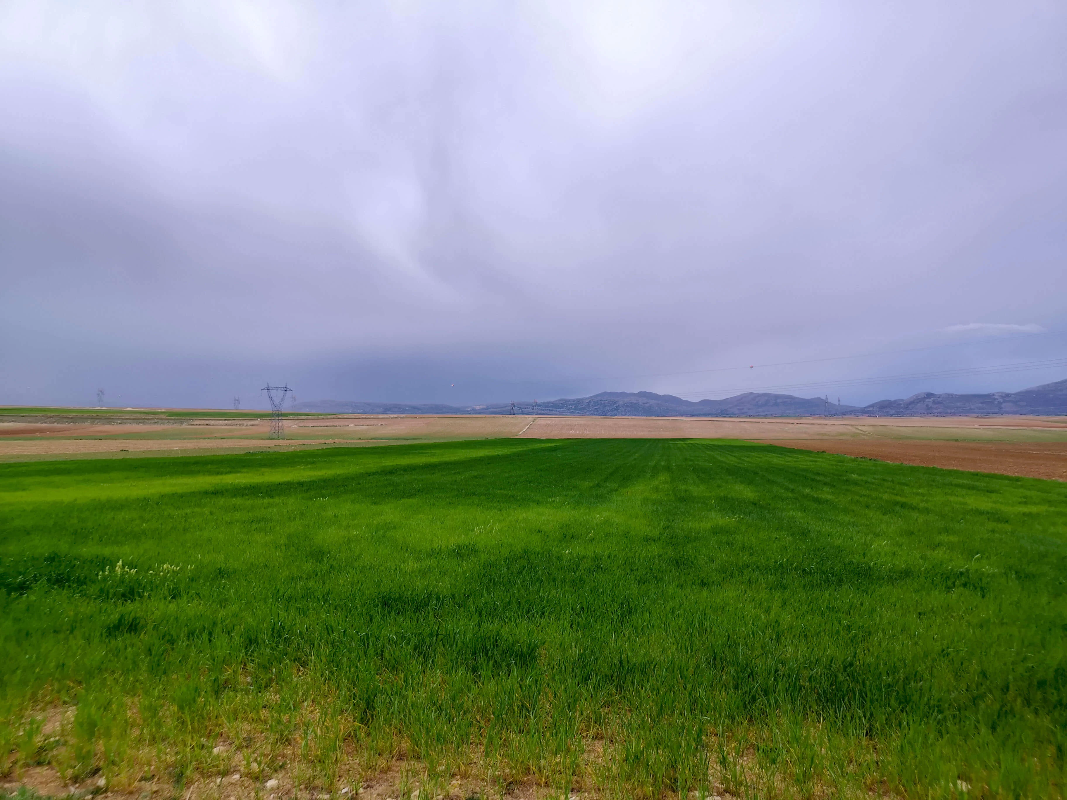 GÖNDERE' de 9 DÖNÜM SATILIK TARLA
