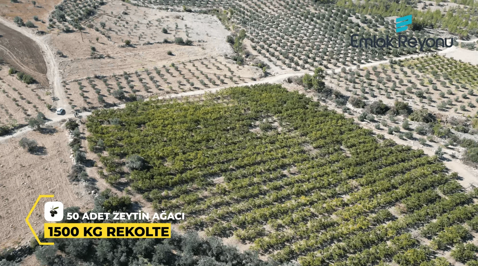 MUT IŞIKLAR KÖYÜ'NDE SATILIK NAR BAHÇESİ