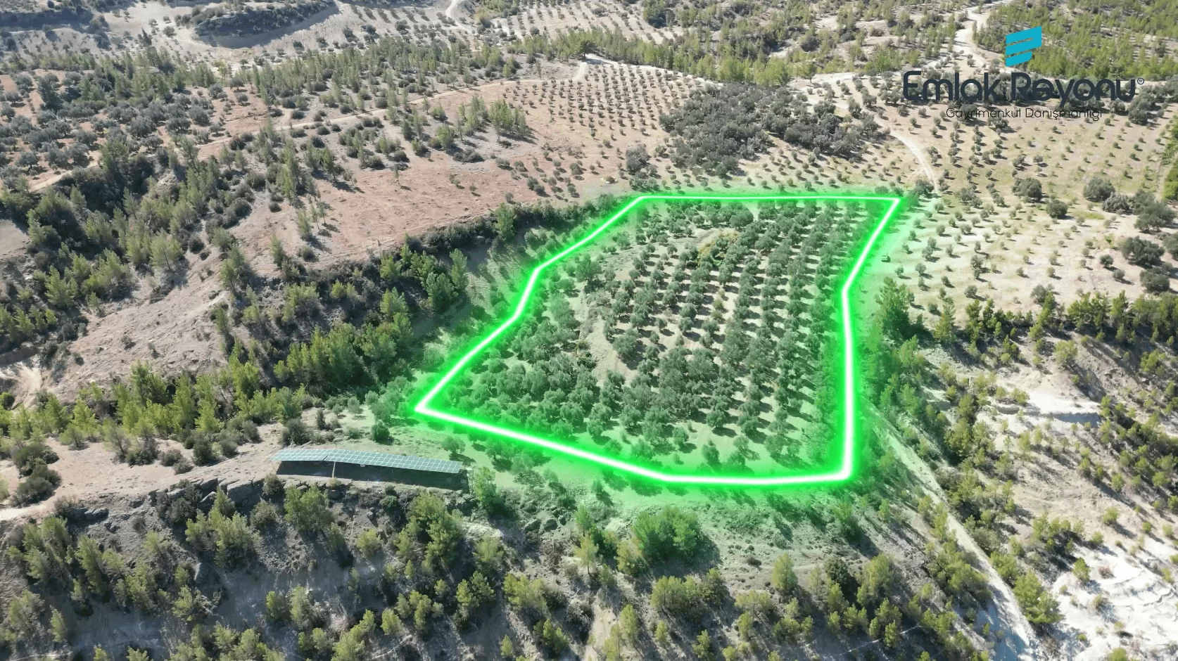 MUT IŞIKLAR KÖYÜ'NDE SATILIK ZEYTİN BAHÇESİ