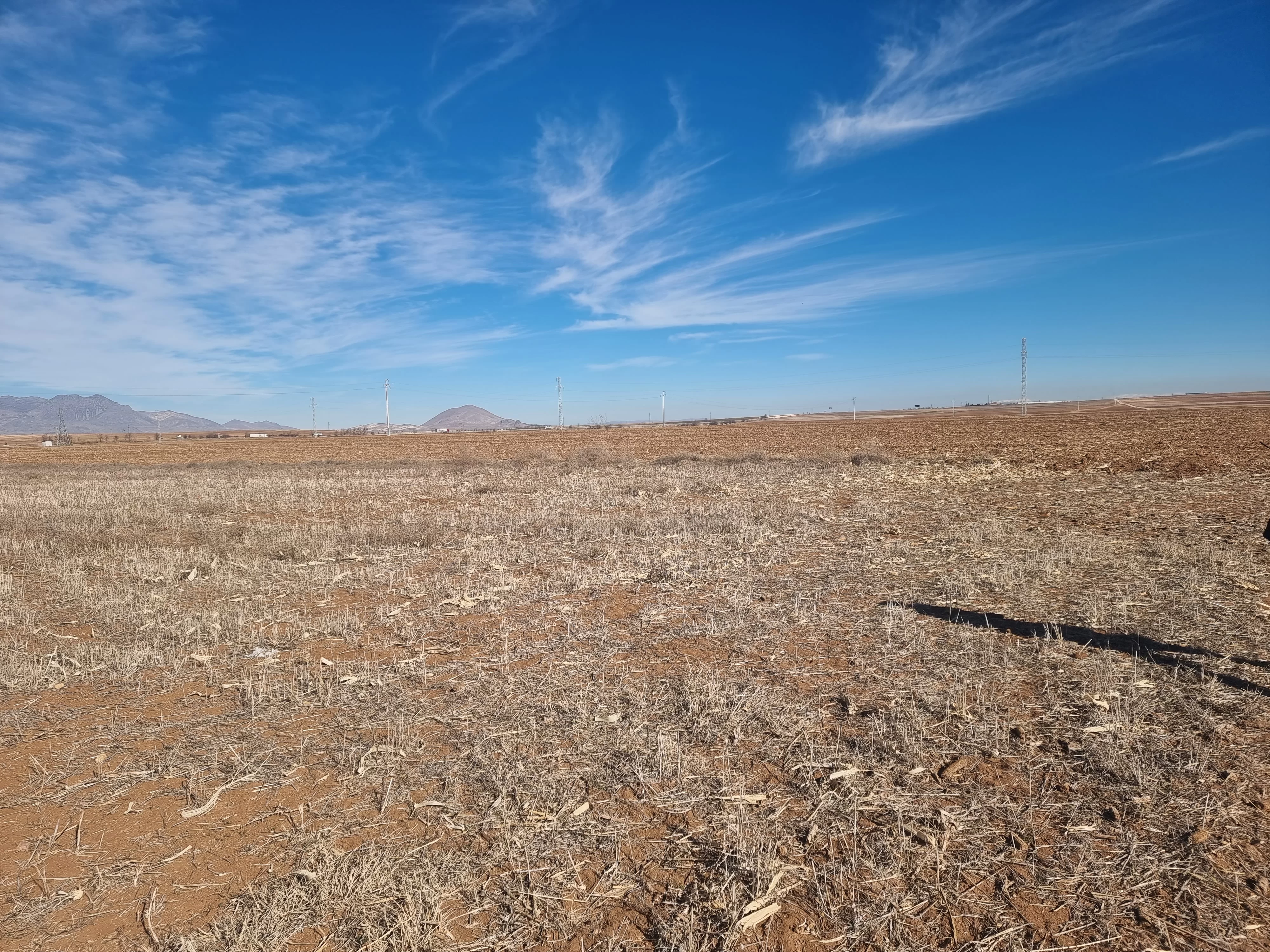 YOLLARBAŞINDA 8787m² SATILIK TARLA