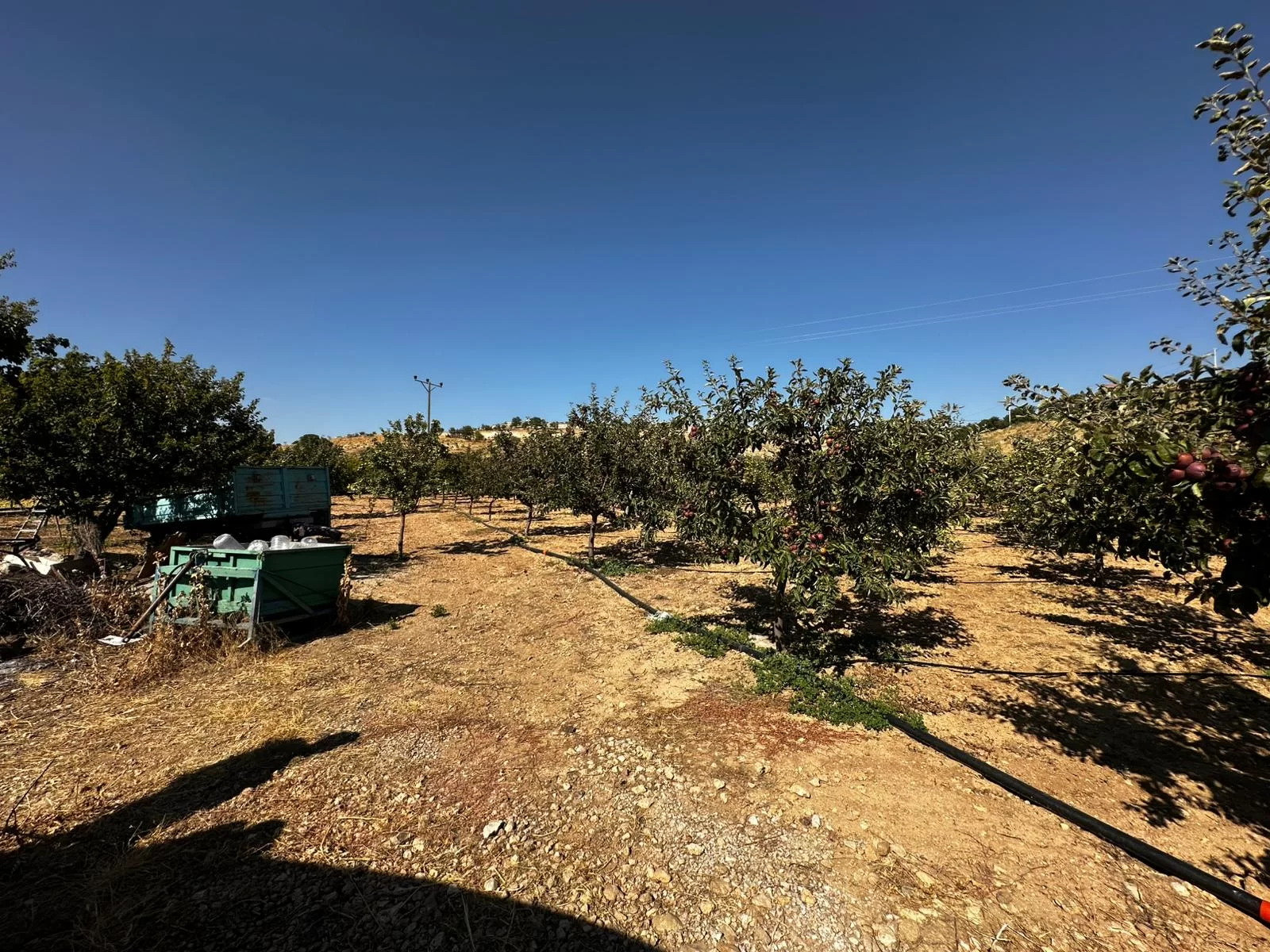 MORCALI'da DOĞA İÇİNDE SATILIK BAHÇE VE EVİ