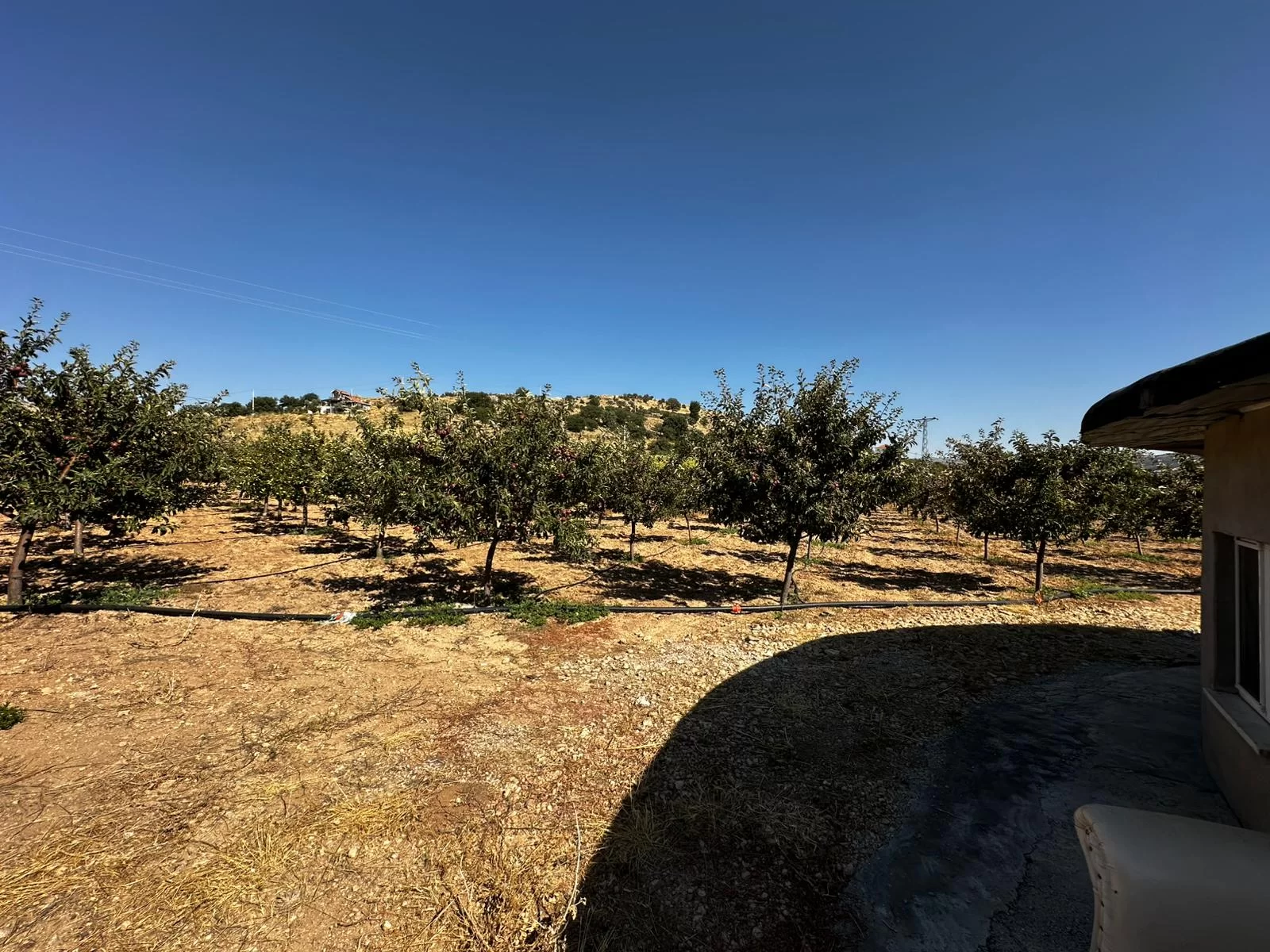 MORCALI'da DOĞA İÇİNDE SATILIK BAHÇE VE EVİ