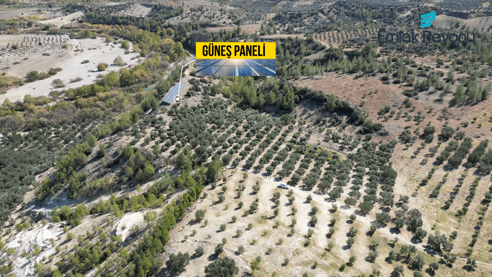 Mut Işıklar Köyünde Satılık Zeytin Bahçesi
